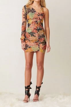 Bec And Bridge Babelini Mesh Dress