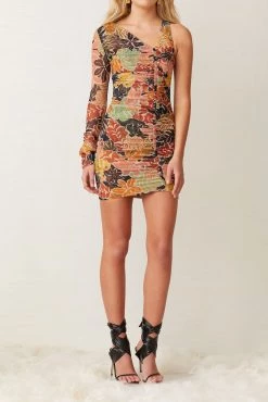 Bec And Bridge Babelini Mesh Dress