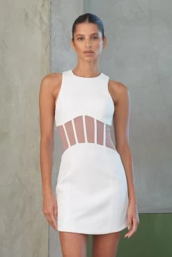 Misha Collection New Arrivals Misha Coco Mini Dress