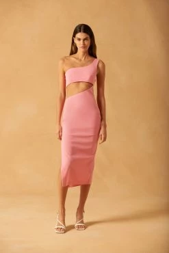 Misha Collection New Arrivals Misha Elisabeth Midi Dress