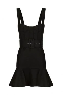 Shona Joy Nicolette Fit And Flare Mini Dress