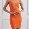 New Arrivals San Sloane Sharon Solid-Sheer Mini Dress Orange
