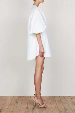 Shona Joy ShonaJoy Grant Balloon Sleeve Shirt Dress