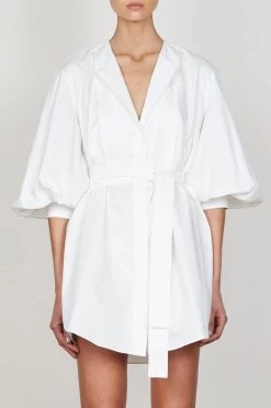 Shona Joy ShonaJoy Grant Balloon Sleeve Shirt Dress