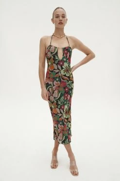 Ownley Stella Dress New Arrivals