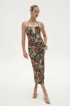 Ownley Stella Dress New Arrivals